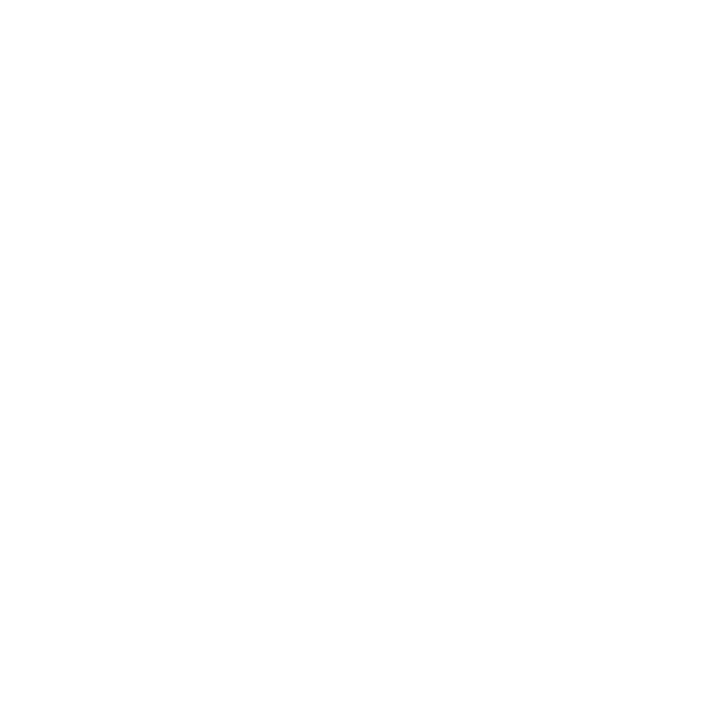 Partynet logo